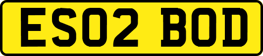 ES02BOD