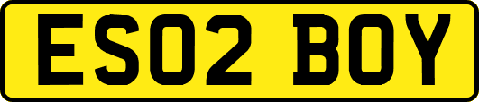 ES02BOY
