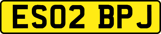 ES02BPJ