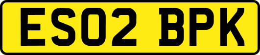 ES02BPK