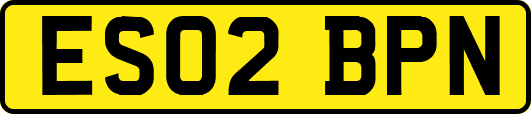 ES02BPN