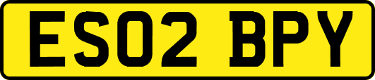 ES02BPY