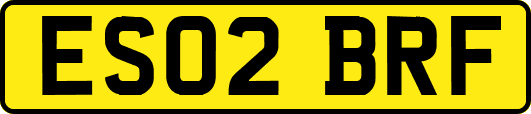 ES02BRF
