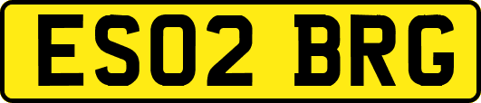 ES02BRG