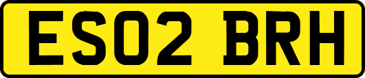 ES02BRH