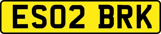 ES02BRK