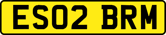 ES02BRM