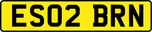 ES02BRN
