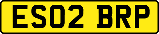 ES02BRP