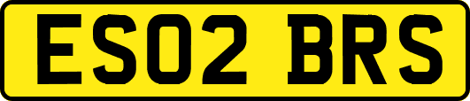 ES02BRS