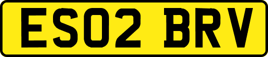 ES02BRV