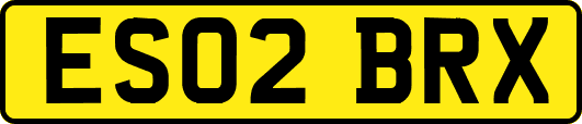 ES02BRX