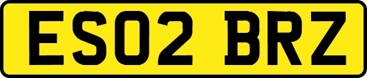 ES02BRZ
