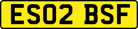 ES02BSF