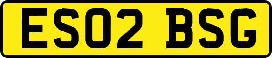 ES02BSG