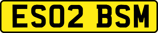 ES02BSM