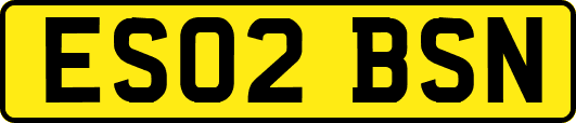 ES02BSN