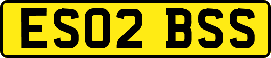 ES02BSS
