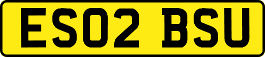 ES02BSU