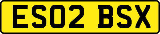 ES02BSX