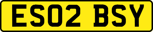 ES02BSY