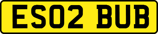 ES02BUB