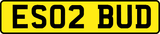 ES02BUD