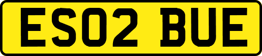 ES02BUE