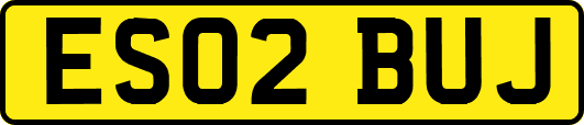 ES02BUJ