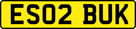 ES02BUK