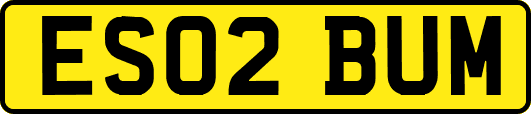 ES02BUM