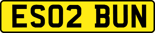 ES02BUN