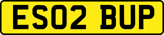 ES02BUP