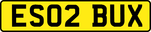 ES02BUX