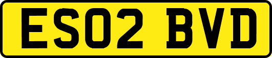 ES02BVD