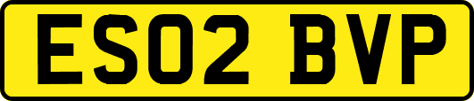 ES02BVP