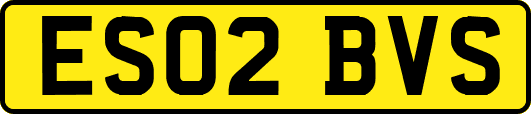 ES02BVS