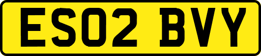 ES02BVY
