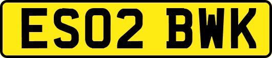 ES02BWK