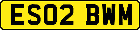 ES02BWM