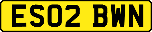 ES02BWN