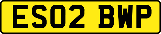 ES02BWP