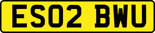 ES02BWU
