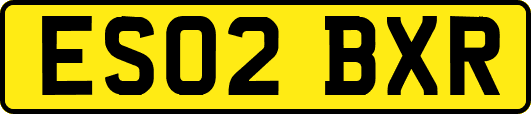 ES02BXR