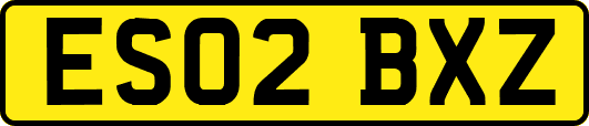 ES02BXZ