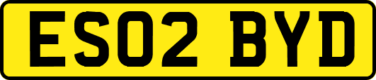 ES02BYD