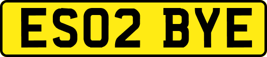 ES02BYE