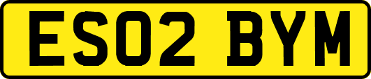 ES02BYM