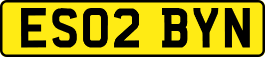 ES02BYN