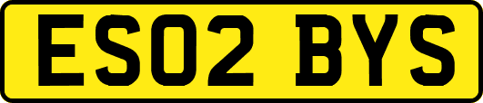 ES02BYS